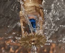 Emergency Sprinkler Repair project 3