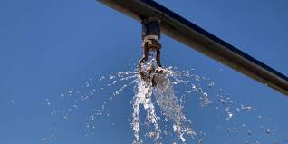 Emergency Sprinkler Repair project 4