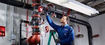 Fire Sprinkler Inspection project 2